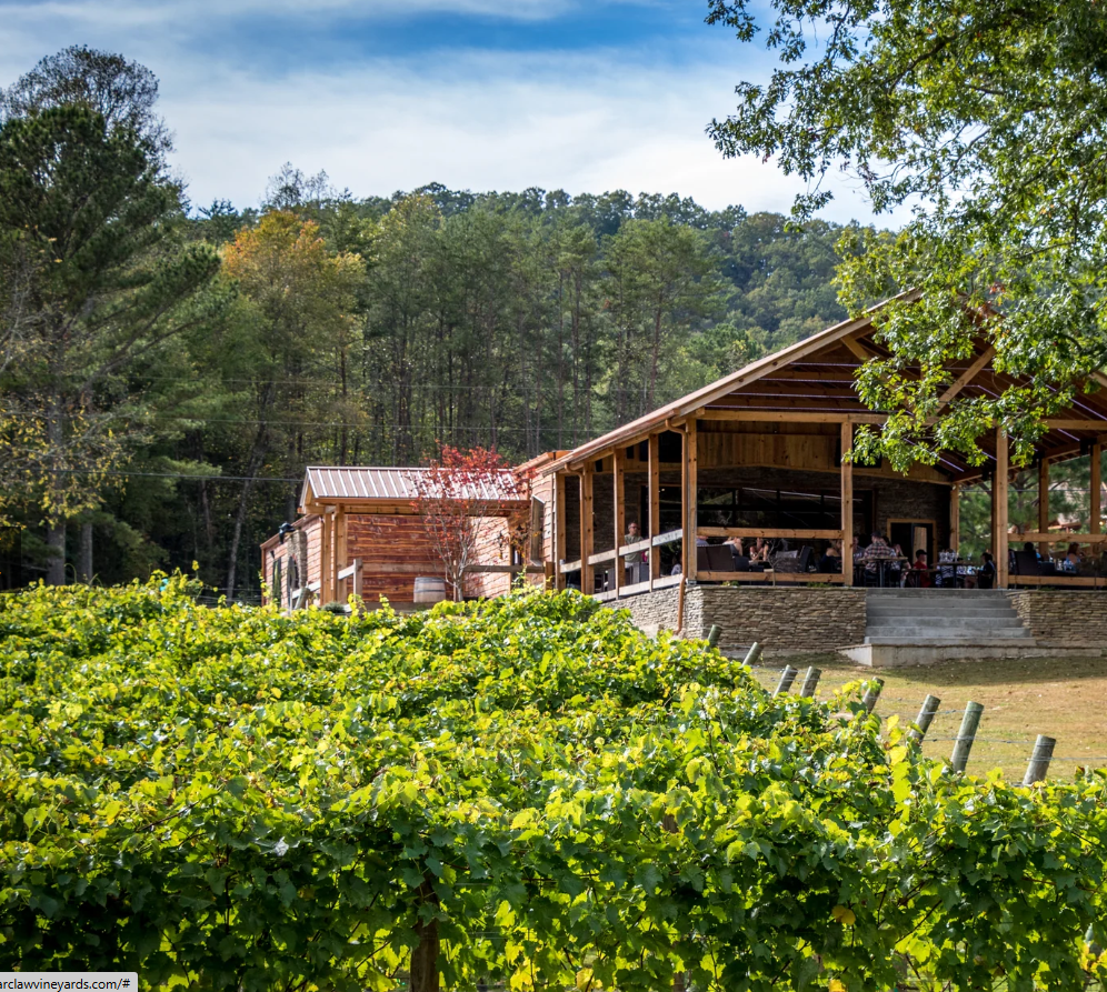 Blue Ridge wine tour Sprinter van along mountain vineyard road